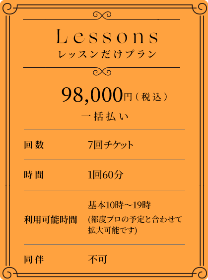 レッスンだけ
